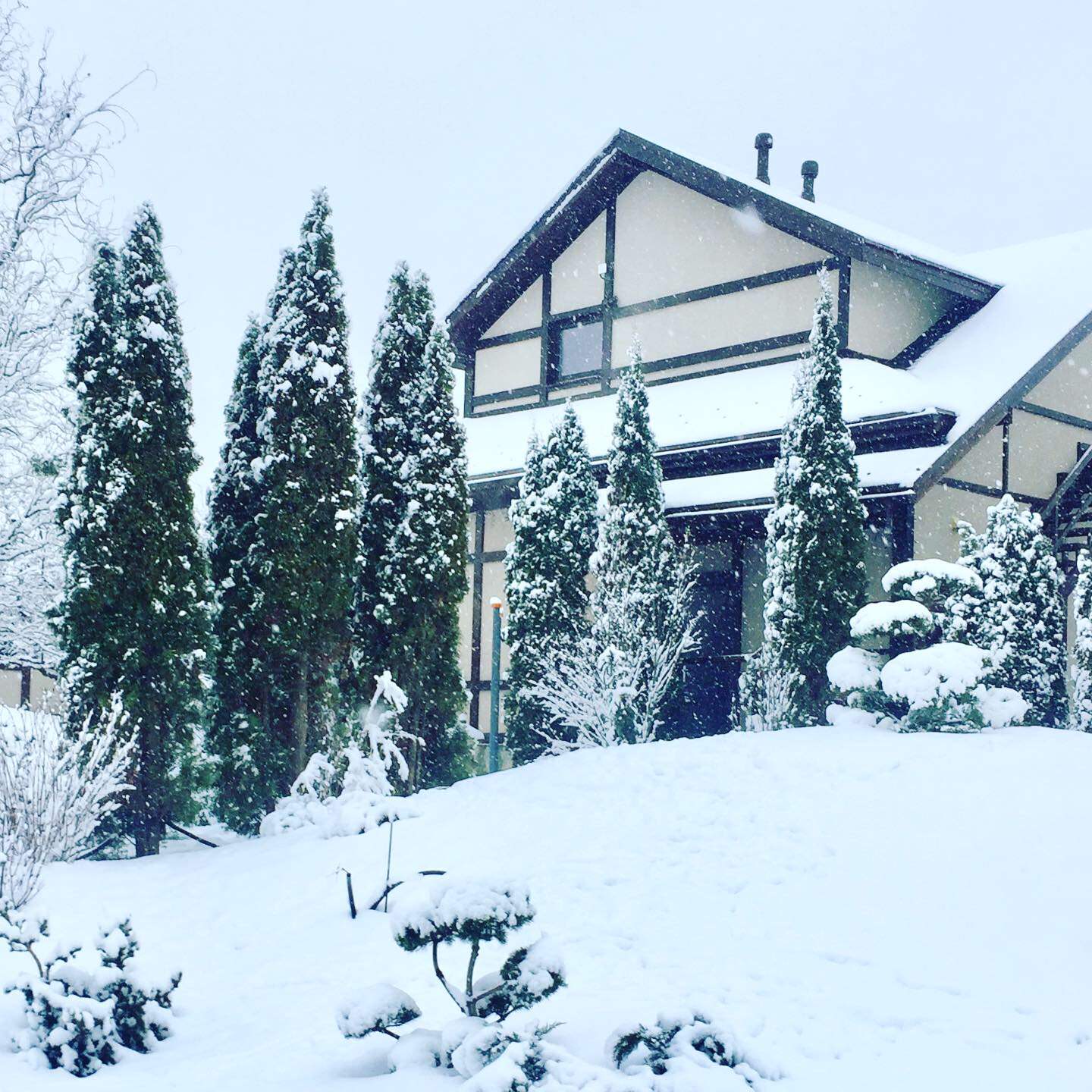 Территория удовольствий.Частный сад.