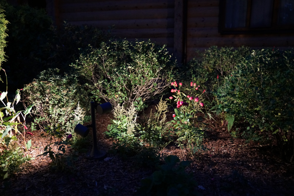 Круговорот цвета. Дубровка 2021