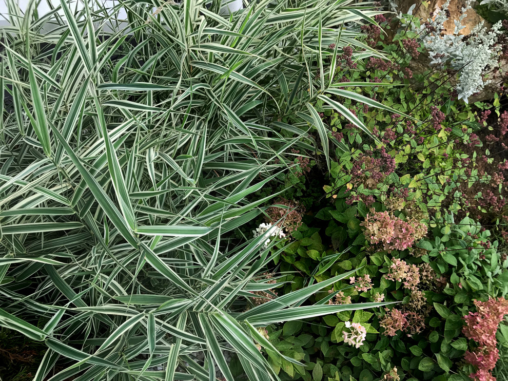 КП Лисавино