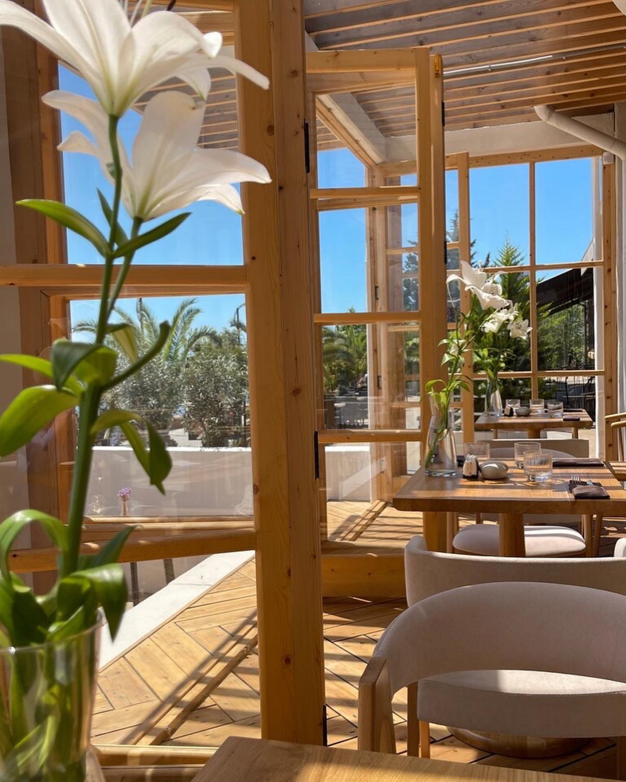 Обложка проекта: Ресторан fino