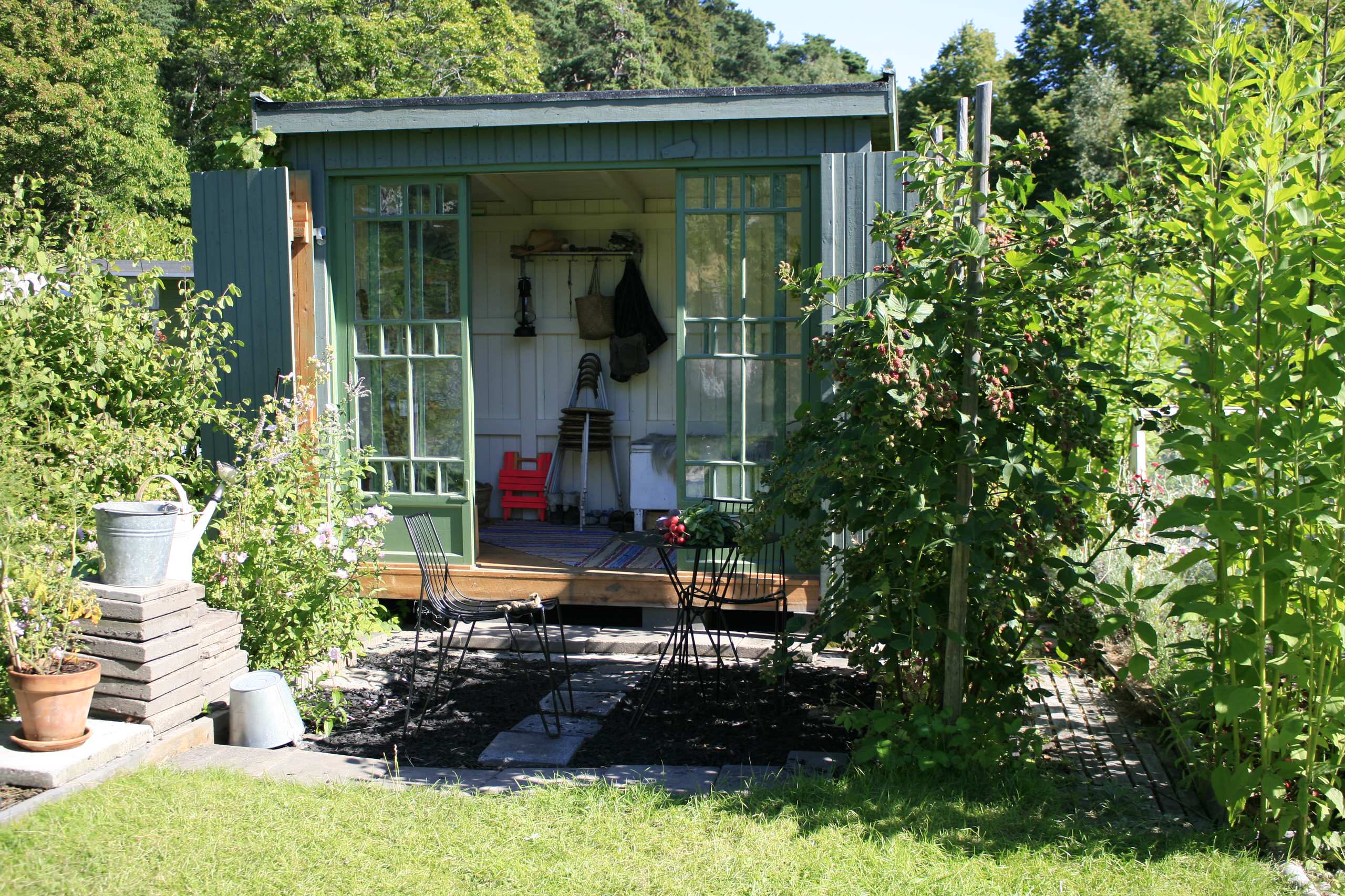 Мир дизайна: 10 огородников-любителей показывают урожай со своих грядок