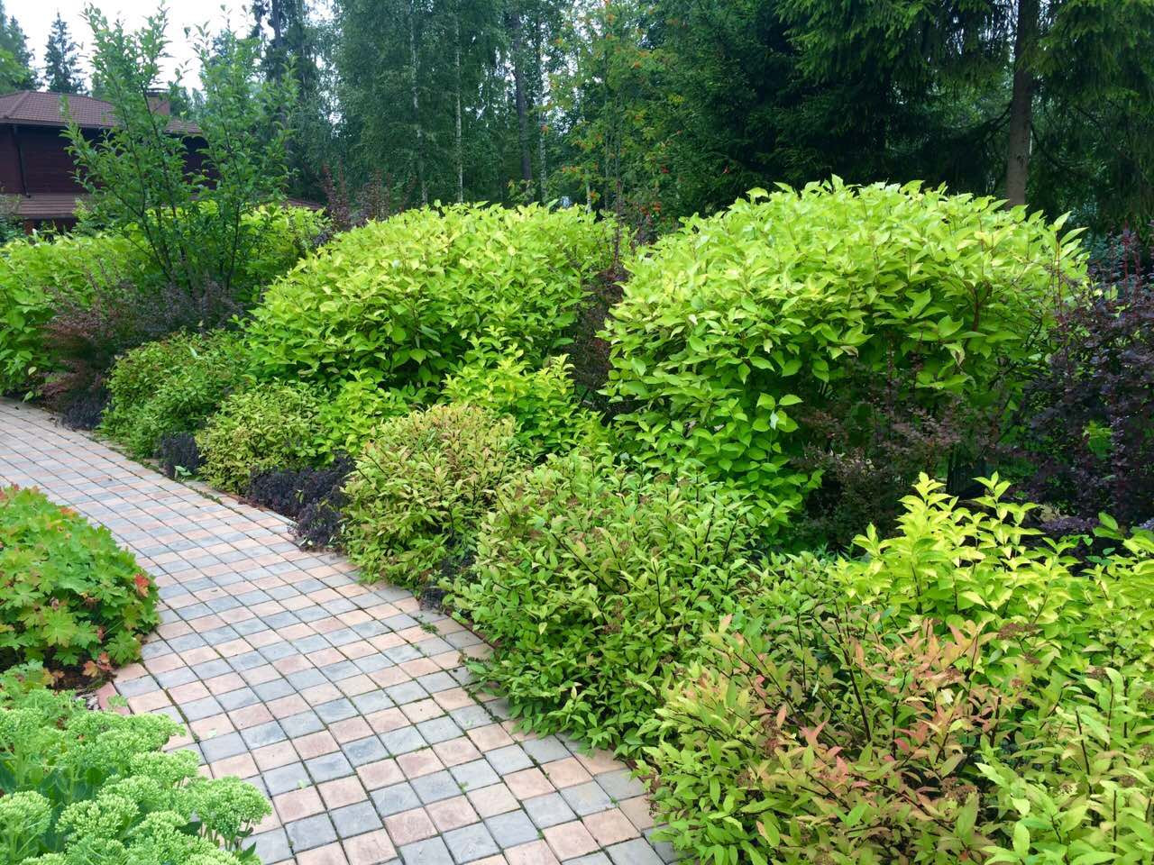 Фото, ландшатный дизайн