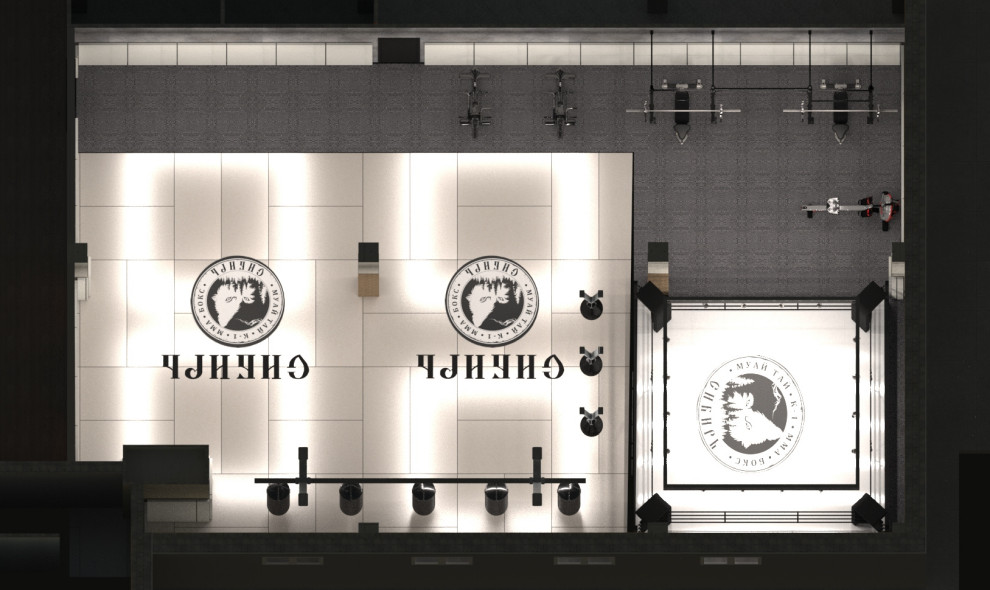 Дизайн проект спортивного клуба "Сибирь"