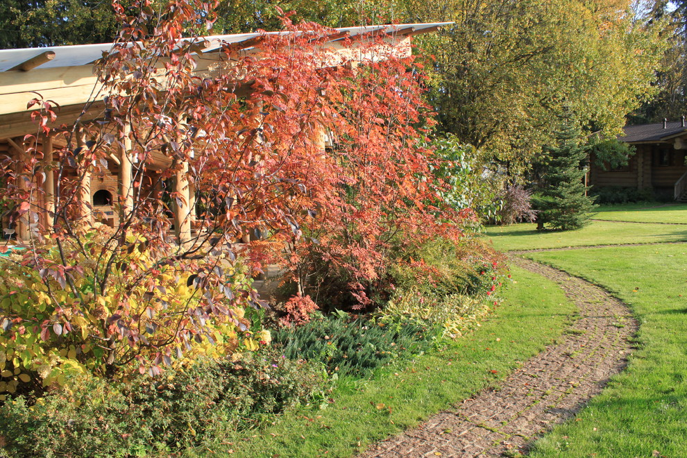 Лесная жизнь