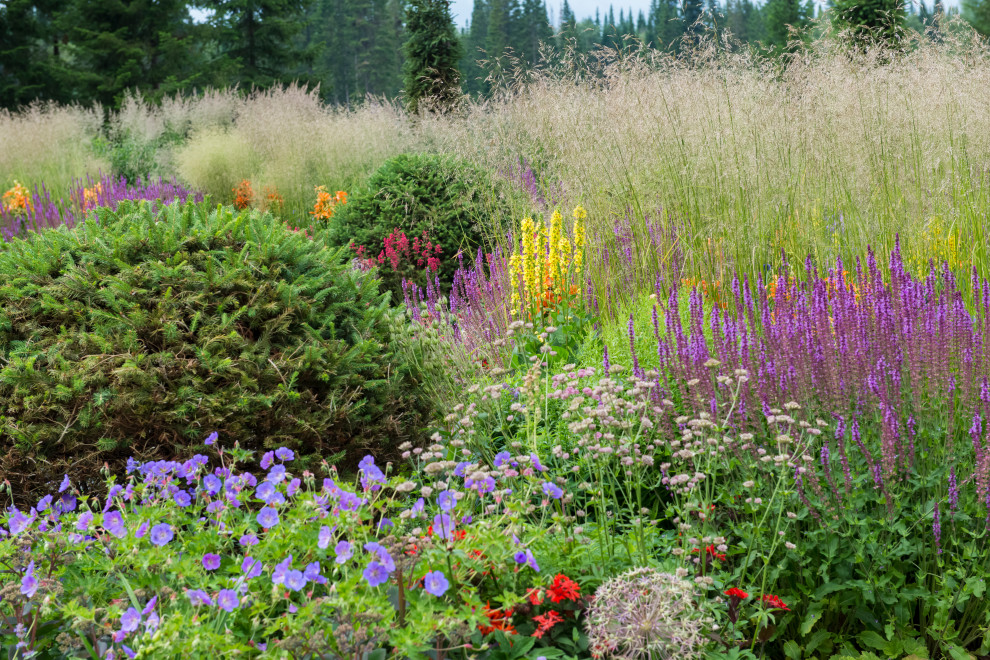 Многолетники