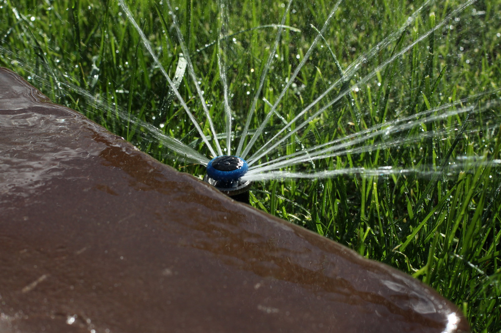 Проект автополива 8 соток