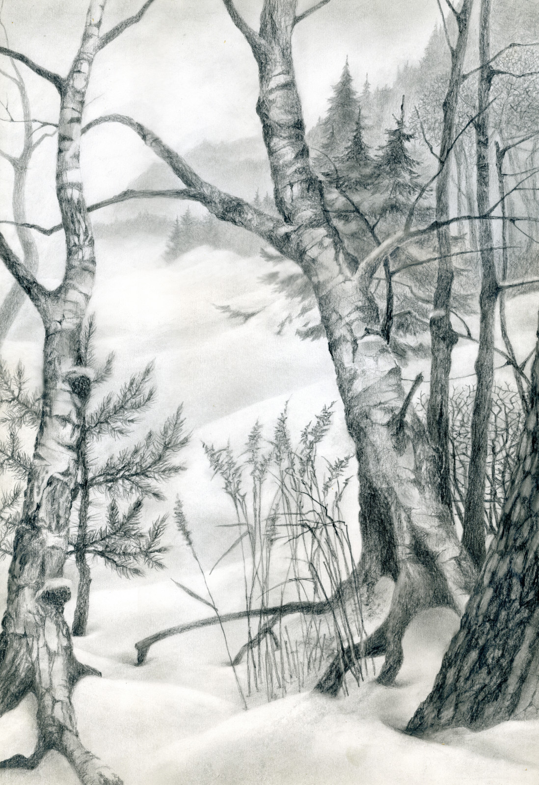 Фоновое изображение профиля Павел Корзухин