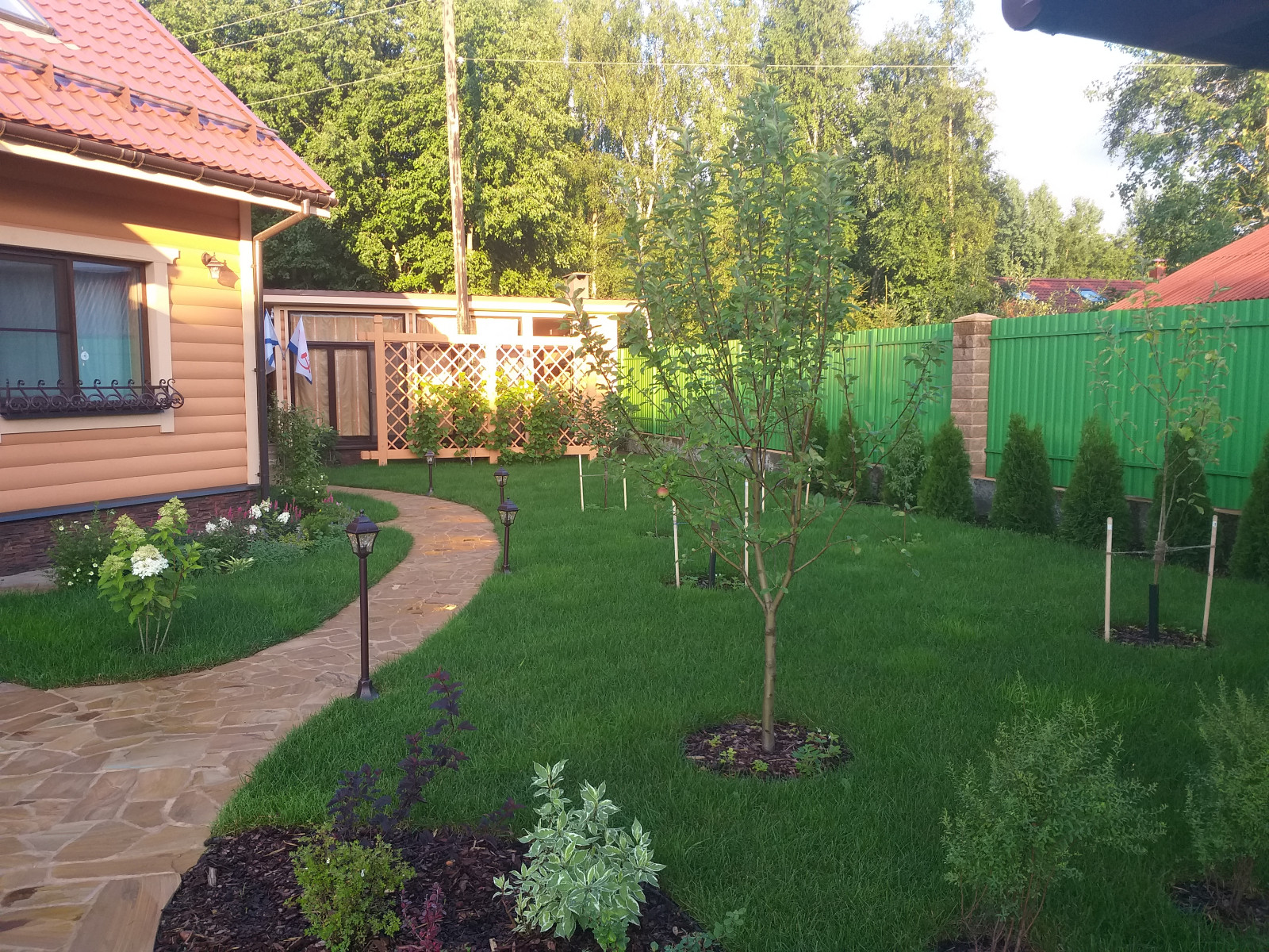 большая ижора