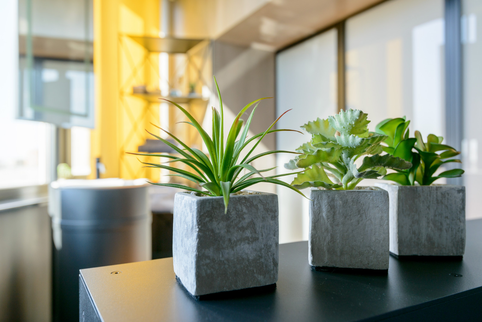 Обложка альбома: 1