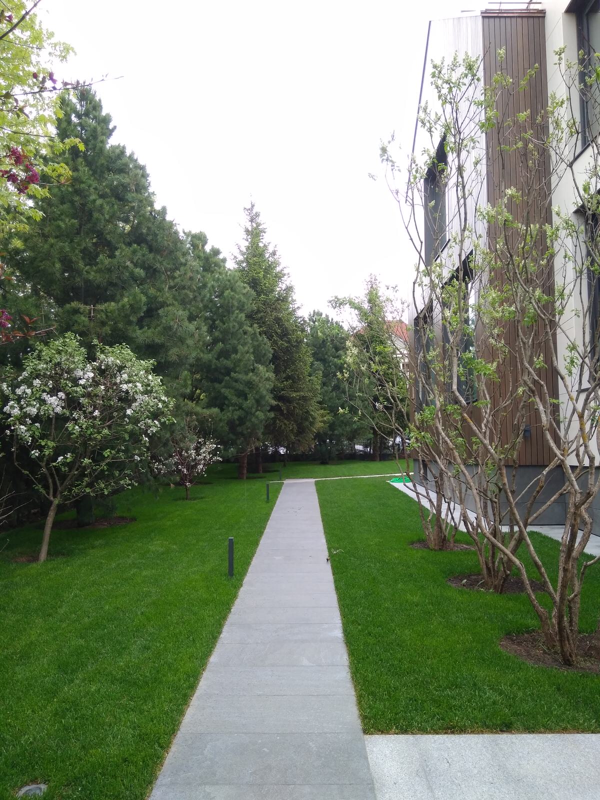 Московская область, Николино