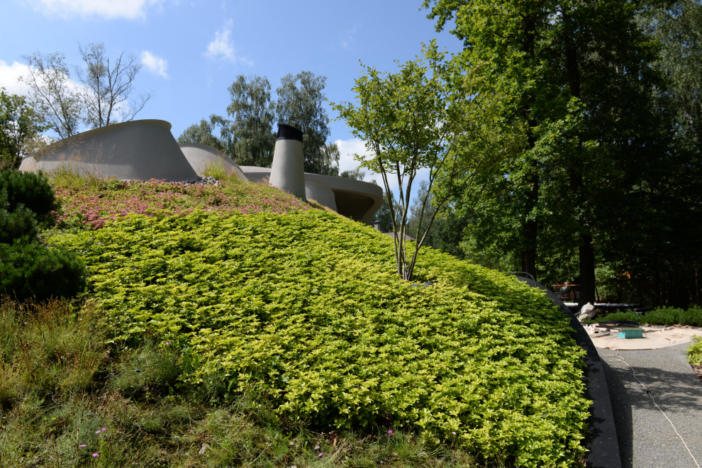 Бионический дом