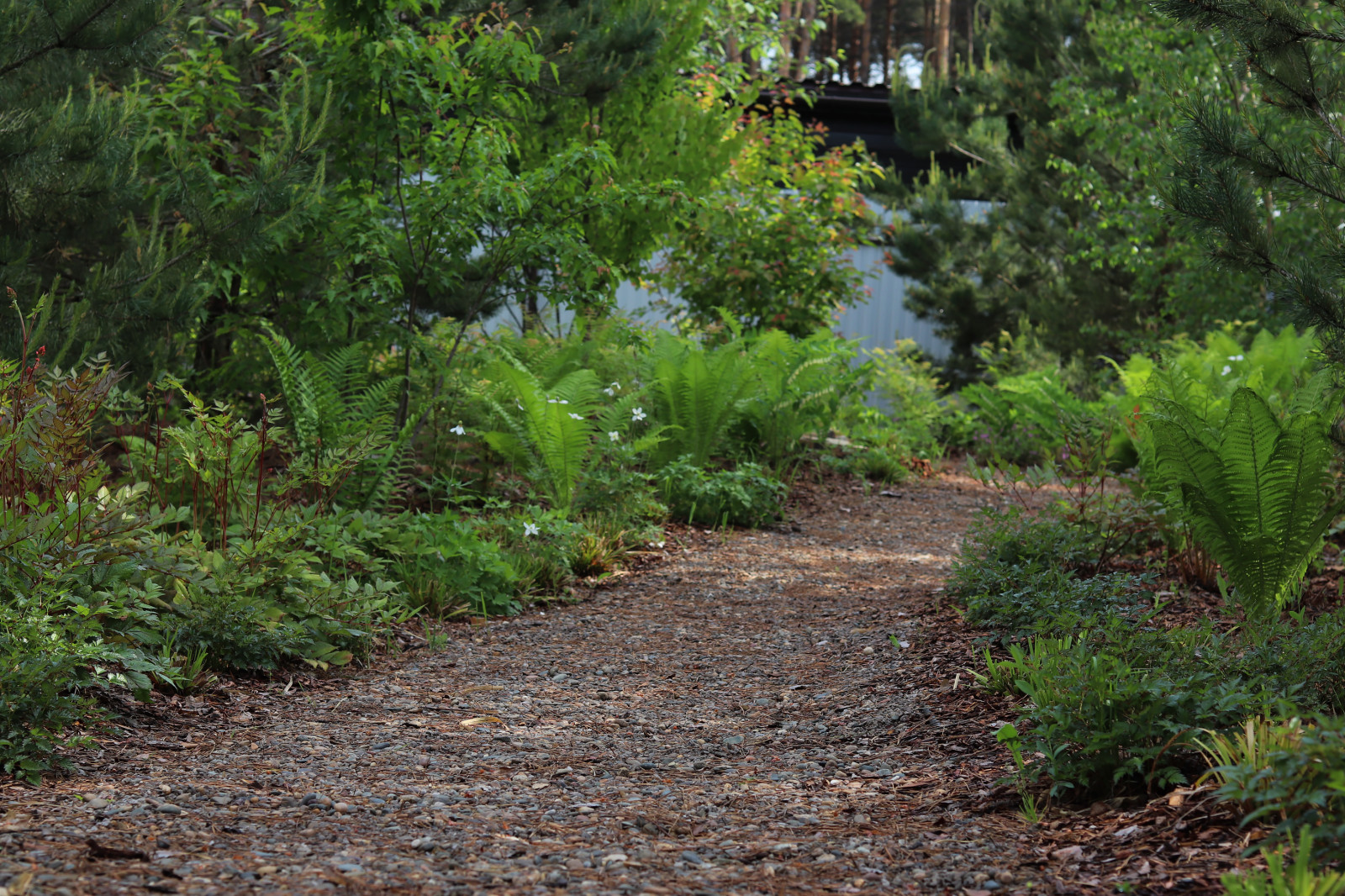 Русский лес