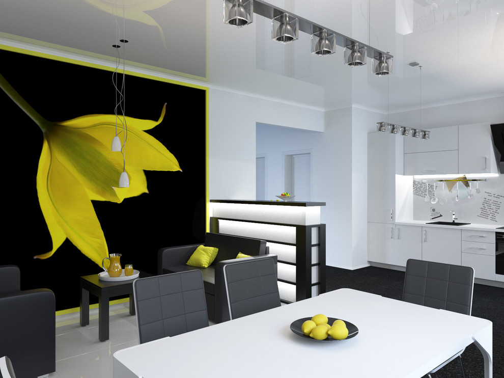 Обложка проекта: Чёрно белая кухня с яркими акцентами