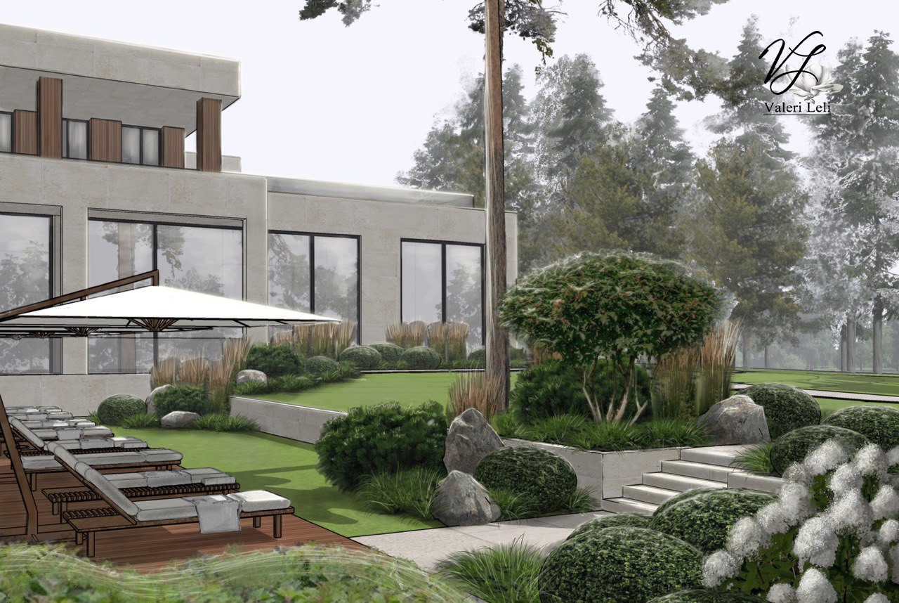 Современный лес