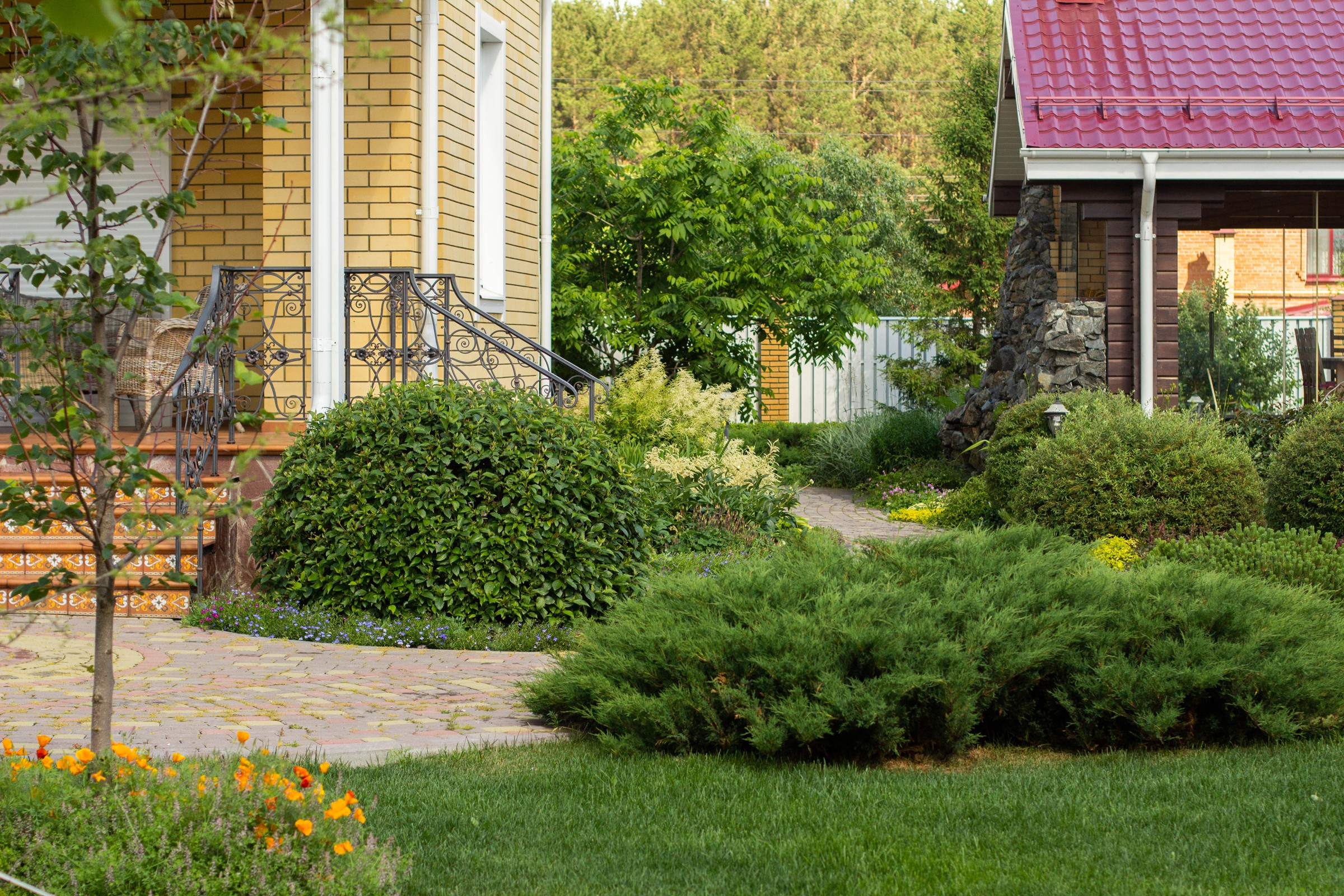 Сад с зеленой крышей