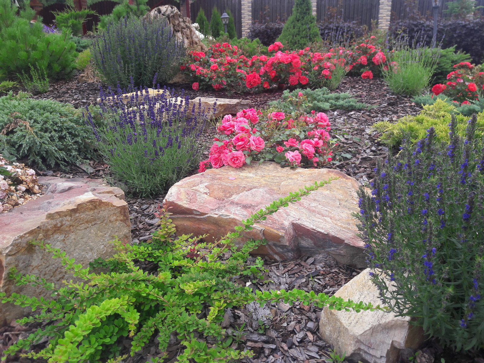 Сад дружной семьи