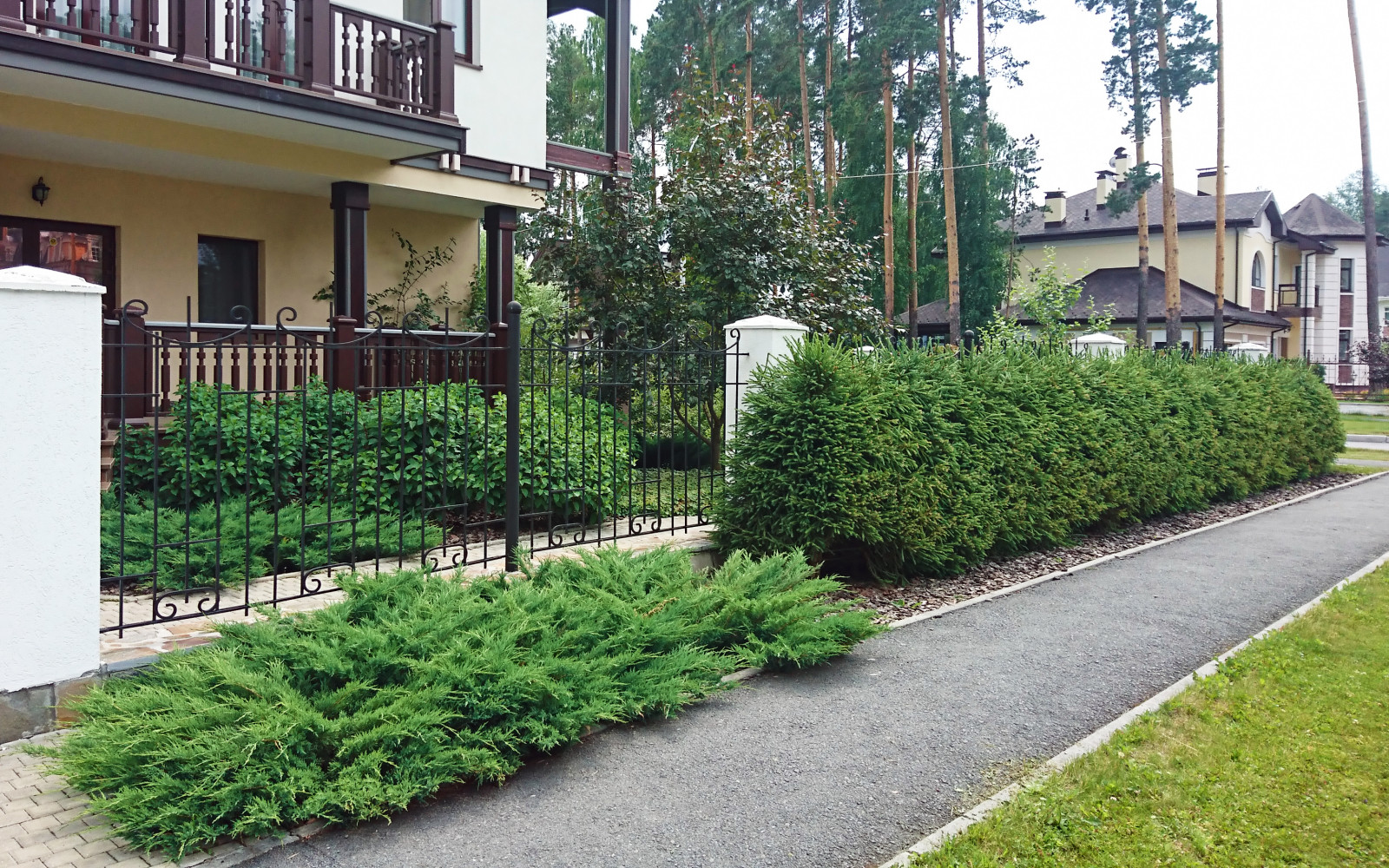 Коттеджный сад