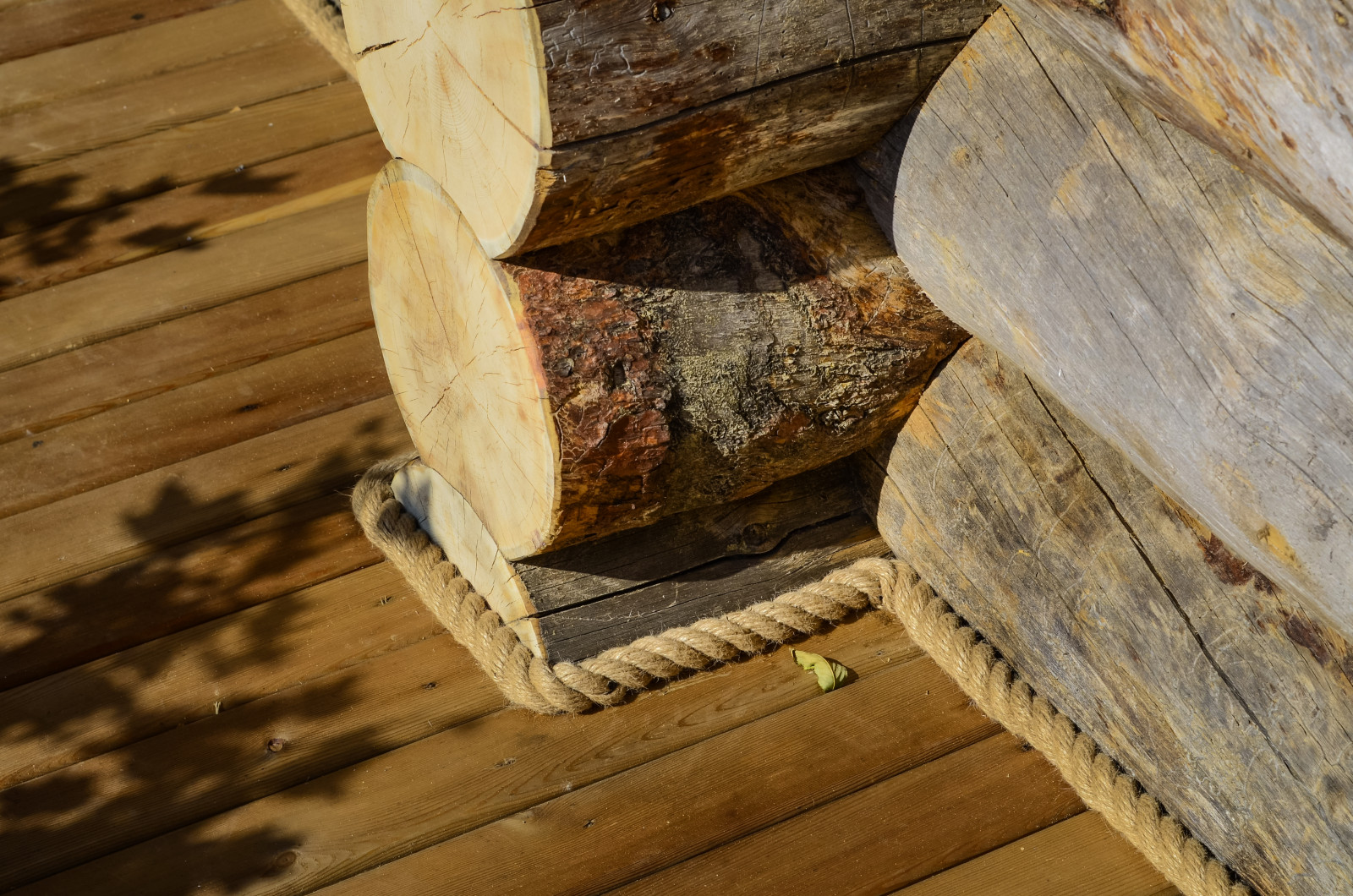 Избушка на опушке