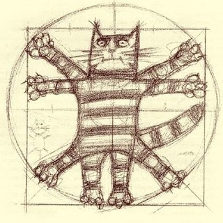 Дмитрий Настевич