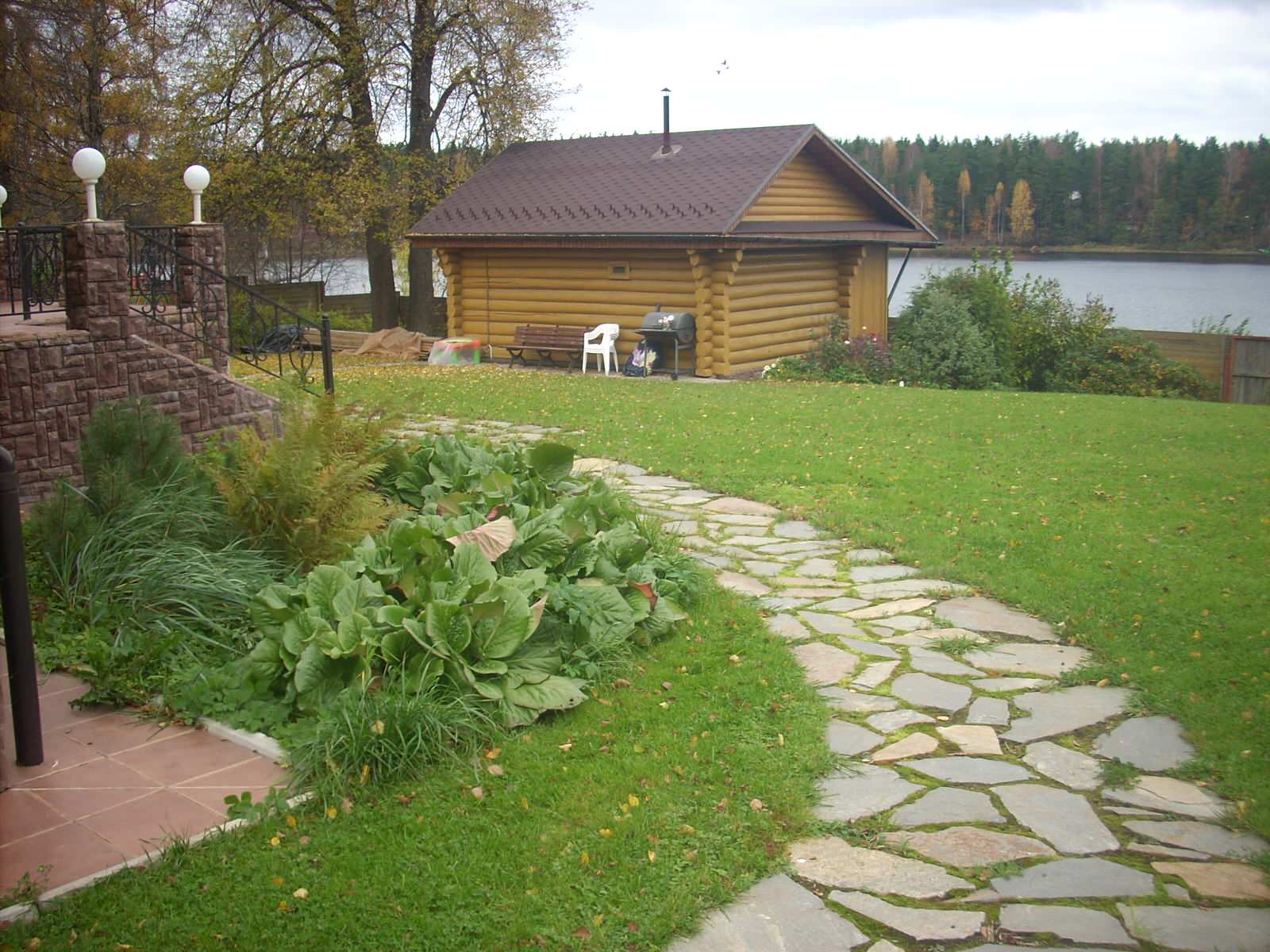 Правдино Ландшафт