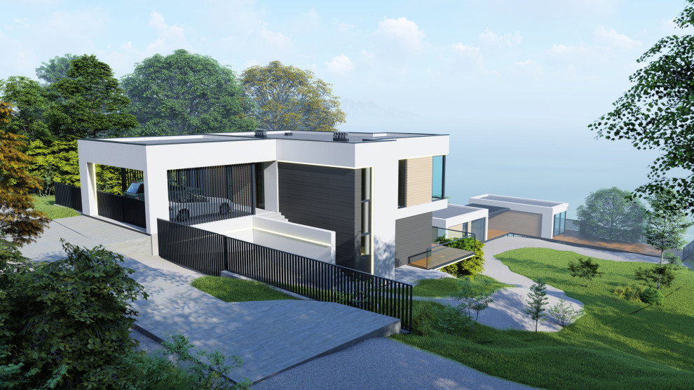 Minimal modern house 207+198