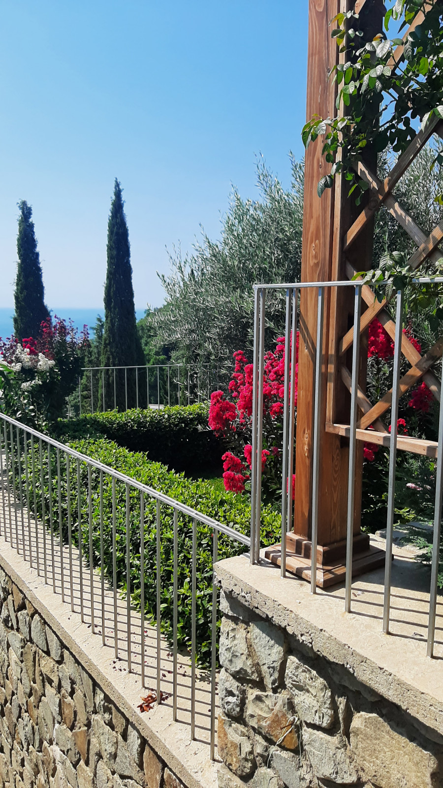 Ландшафтный дизайн