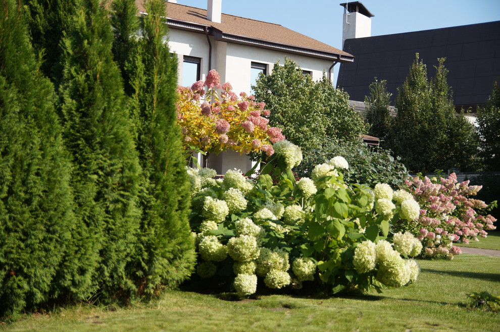 Гортензии много не бывает.