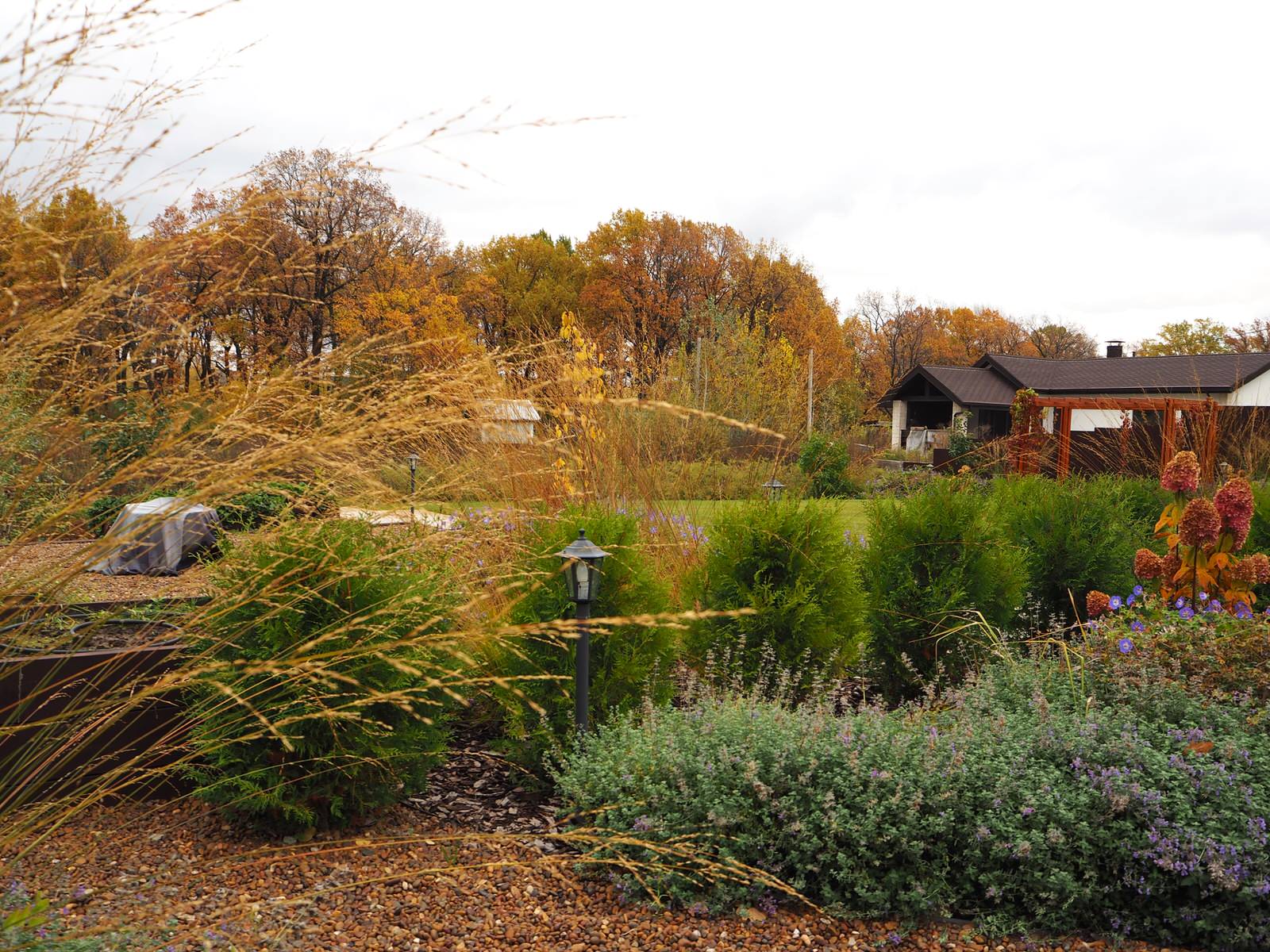 Сад с водоёмом