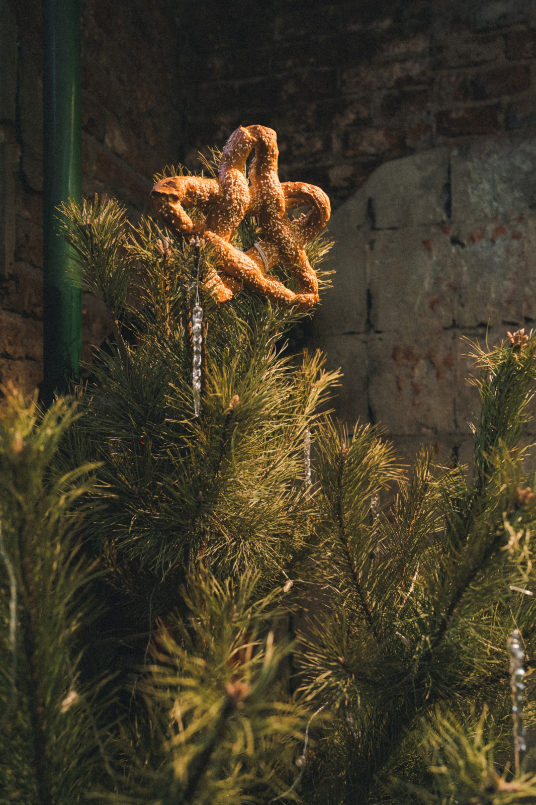 Илья Кузьмин