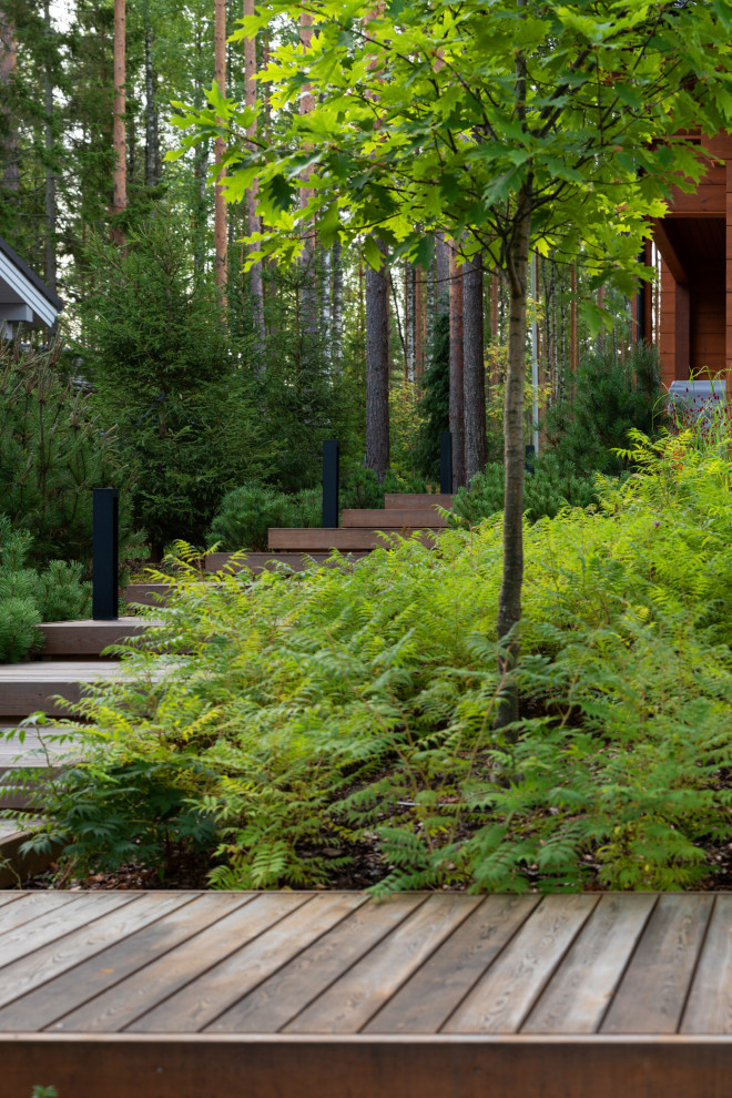 Природа Скандинавии