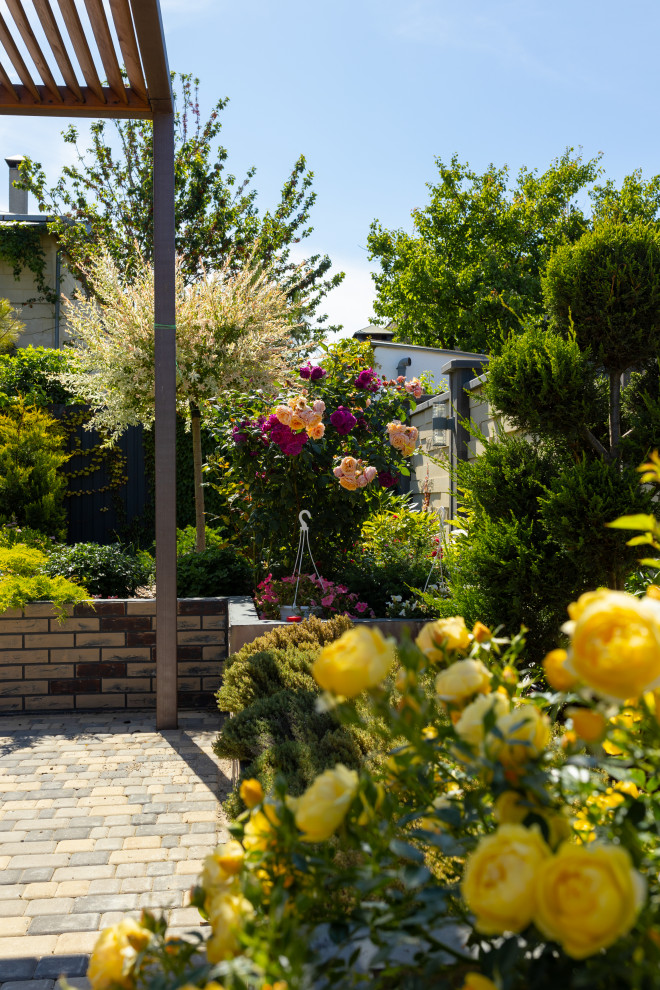 Обложка проекта: Сад: "Сontemporary"