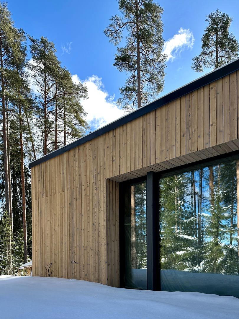 Обложка проекта: Лесная Рапсодия. Циркуль