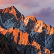 Артур Шакиров