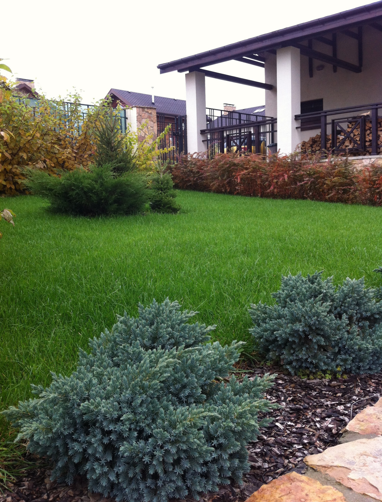 "Сад эгоист"