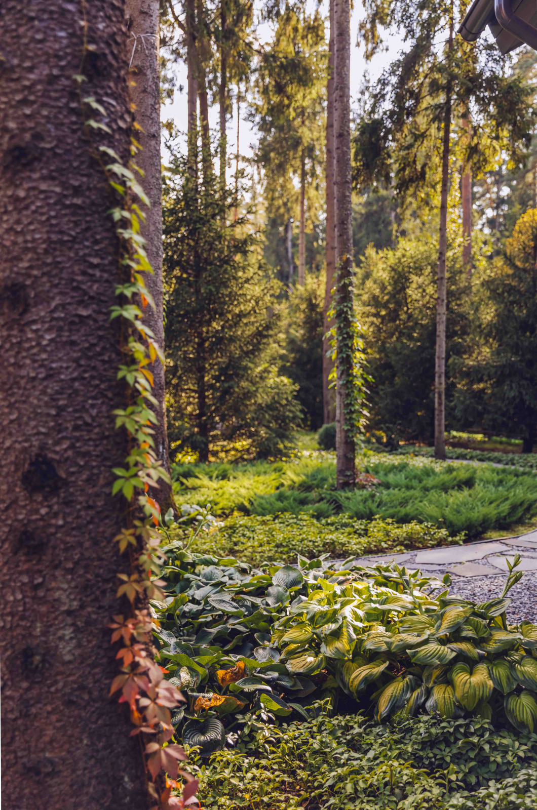 Архитектурное Решение в Пейзажном Стиле
