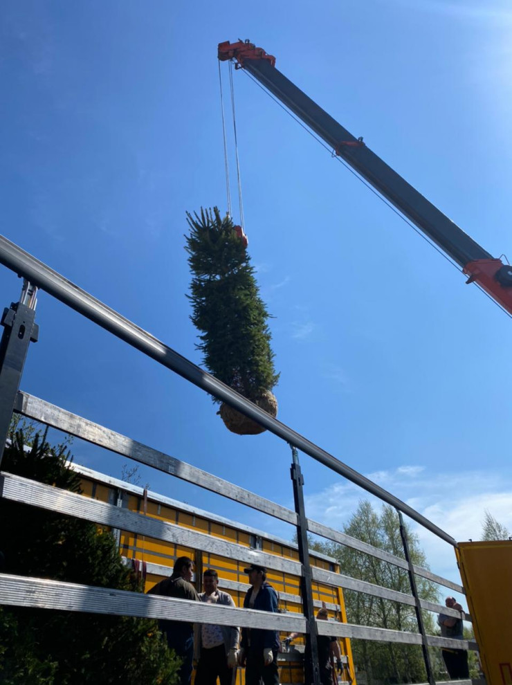 В работе 2021-2020-2019-2018-2017-2016