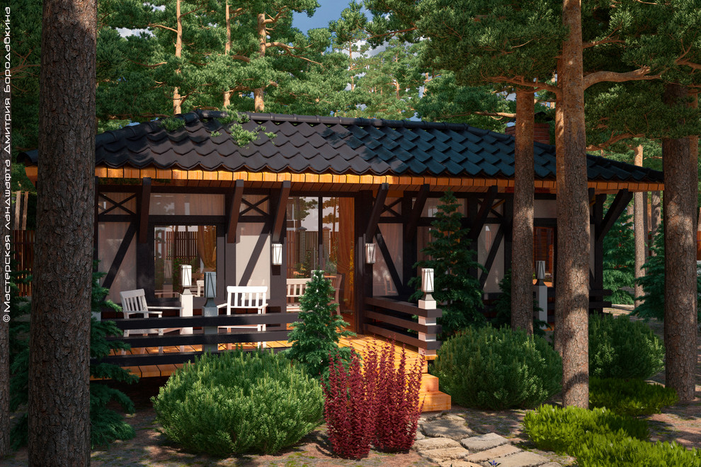 Утро в сосновом лесу