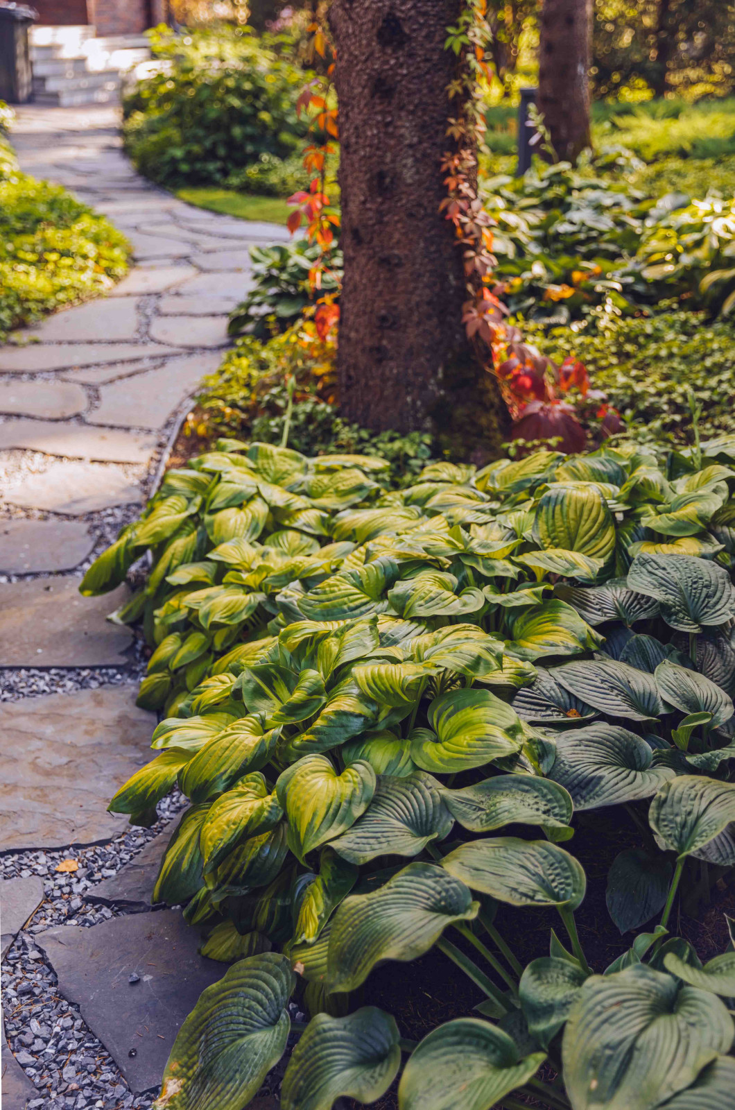 Архитектурное Решение в Пейзажном Стиле