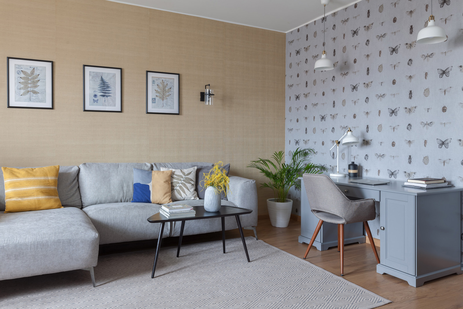 Проект "Жуки-бабочки"