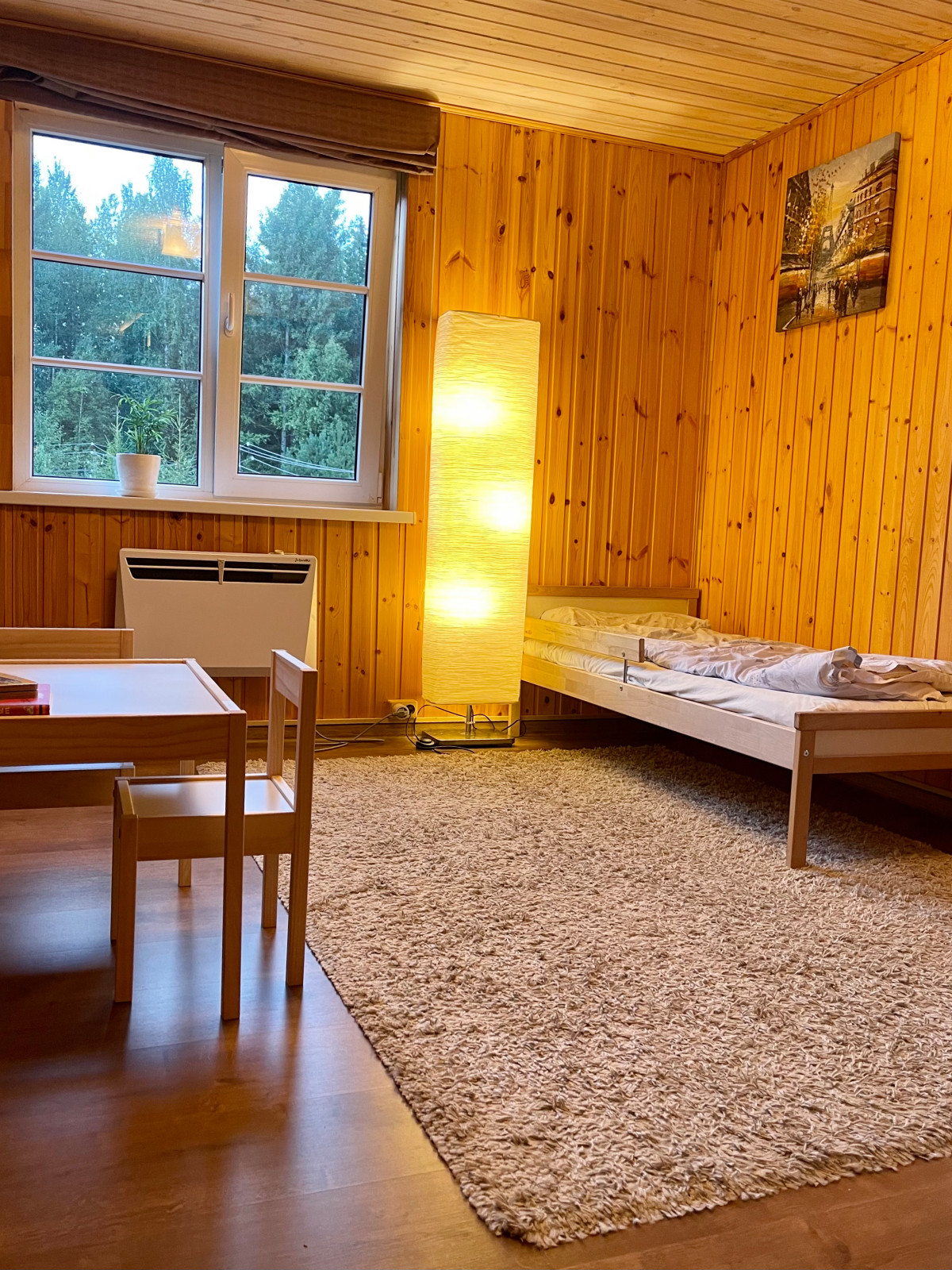 Загородный дом