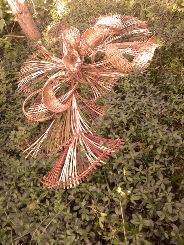 Фитофантазия 5