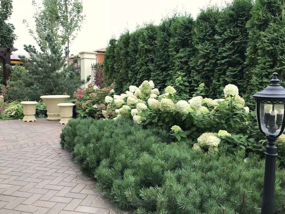 Ильинское шоссе. 12 соток.