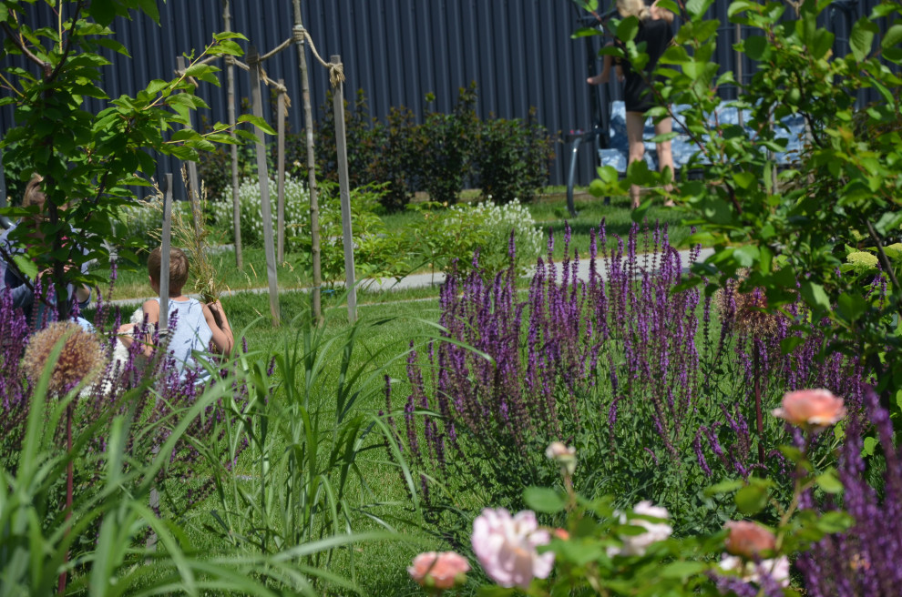 Мягкий и пушистый