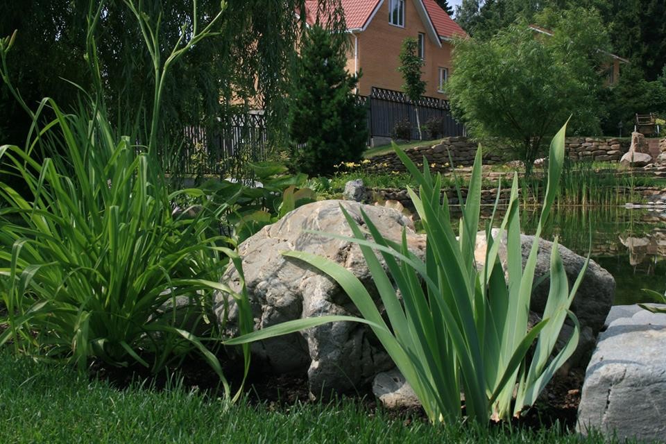 Ландшафтный дизайн