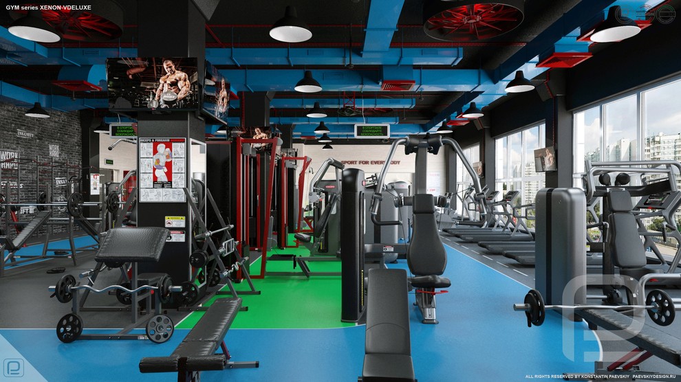Тренажерный зал GYM series XENON-VDELUXE