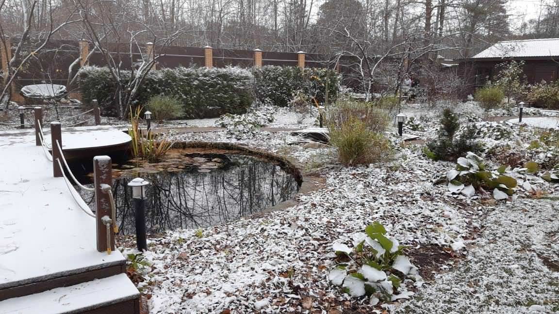 Обложка проекта: Белкин Сад. Предзимье 2019