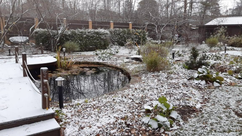 Обложка проекта: Белкин Сад. Предзимье 2019