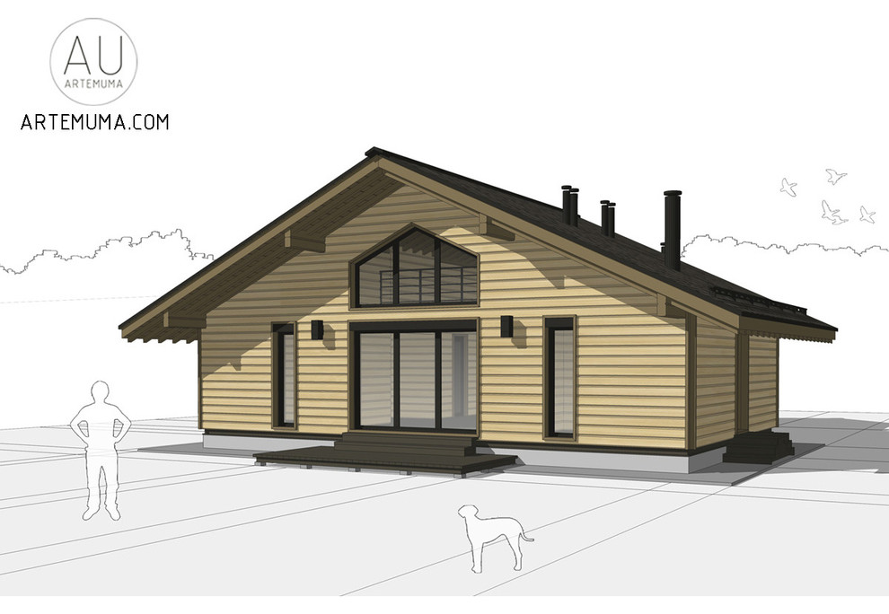 Реконструкция дома в Туле