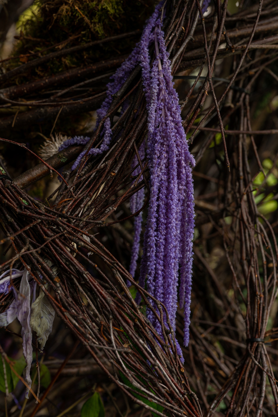 Проект недели: Сад «Декорации Метерлинка» на выставке в Москве