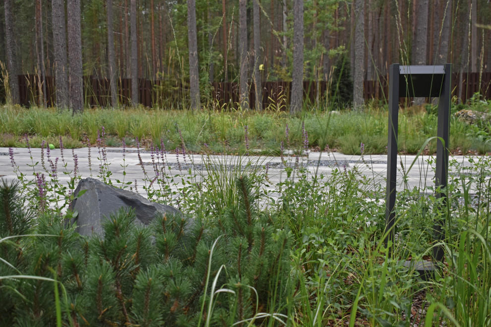 Проект "Волшебное озеро"